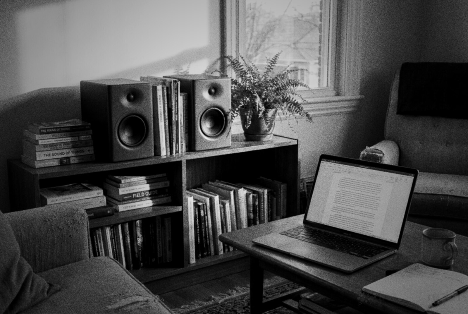Black and white photo of a pair of small studio monitor speakers on a living room bookshelf between paperbacks and a fern, with a laptop on the coffee table in front © The Voice Realm