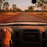 View from the driver's seat of a dusty ute on a straight country road in rural Queensland at golden hour, red dirt verges and gum trees ahead, the car radio glowing on the dashboard © The Voice Realm
