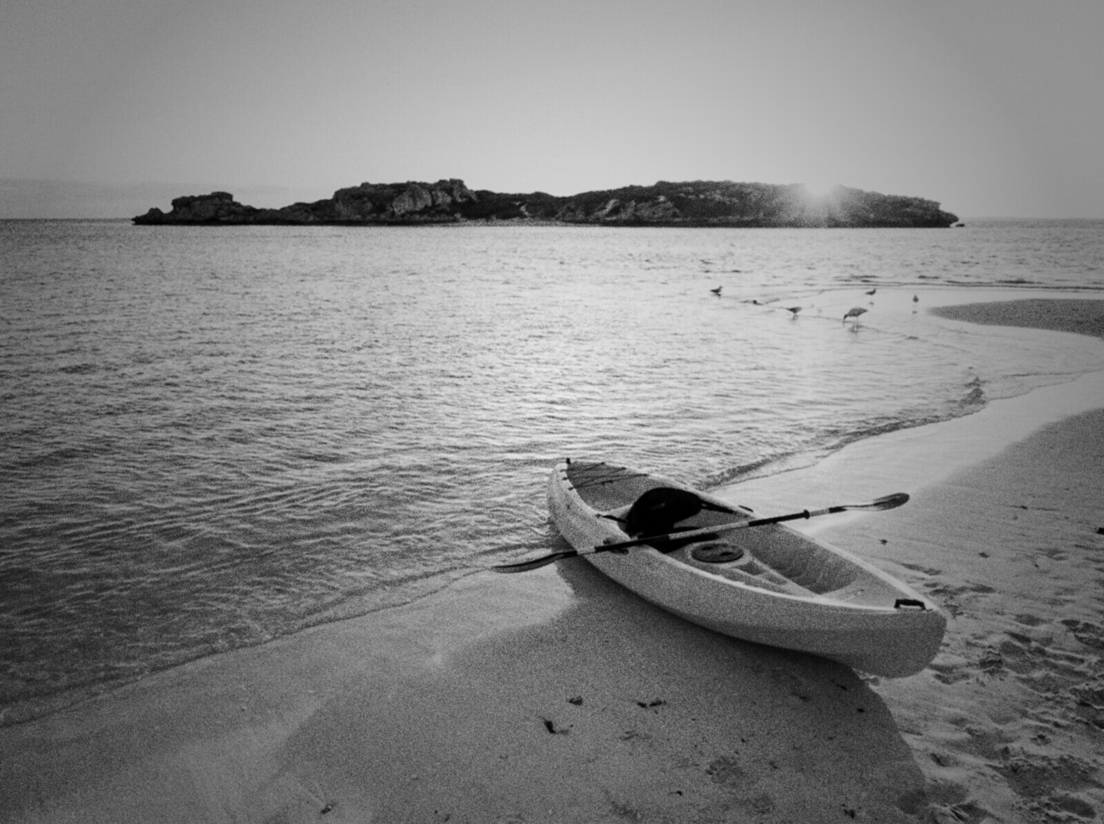 Black and white photo of a sit-on-top kayak pulled up on the sand at sunrise near Rockingham, with Penguin Island low across the shallow water and gulls at the shoreline © The Voice Realm