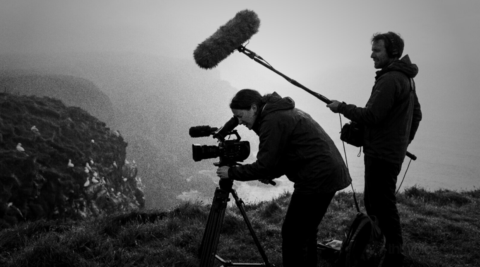 A documentary camera operator filming seabirds from a misty clifftop at dawn, a sound recordist beside her holding a boom pole with a furry windshield © The Voice Realm