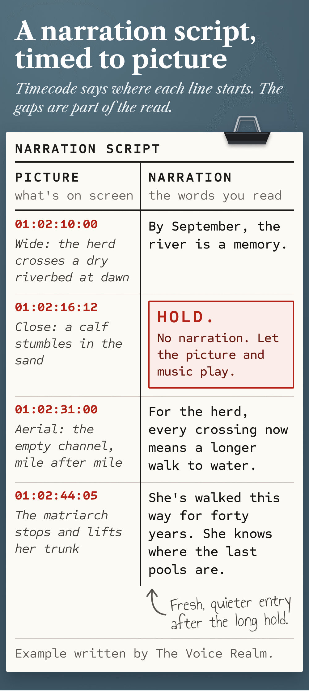 Example two-column documentary script timed to picture, picture and timecode on the left, narration on the right: at 01:02:10:00, wide shot of the herd crossing a dry riverbed at dawn, By September, the river is a memory. At 01:02:16:12, close on a calf stumbling in the sand, a HOLD with no narration to let the picture and music play. At 01:02:31:00, aerial of the empty channel, mile after mile, For the herd, every crossing now means a longer walk to water. At 01:02:44:05, the matriarch stops and lifts her trunk, She's walked this way for forty years. She knows where the last pools are, with a pencil note for a fresh, quieter entry after the long hold © The Voice Realm
