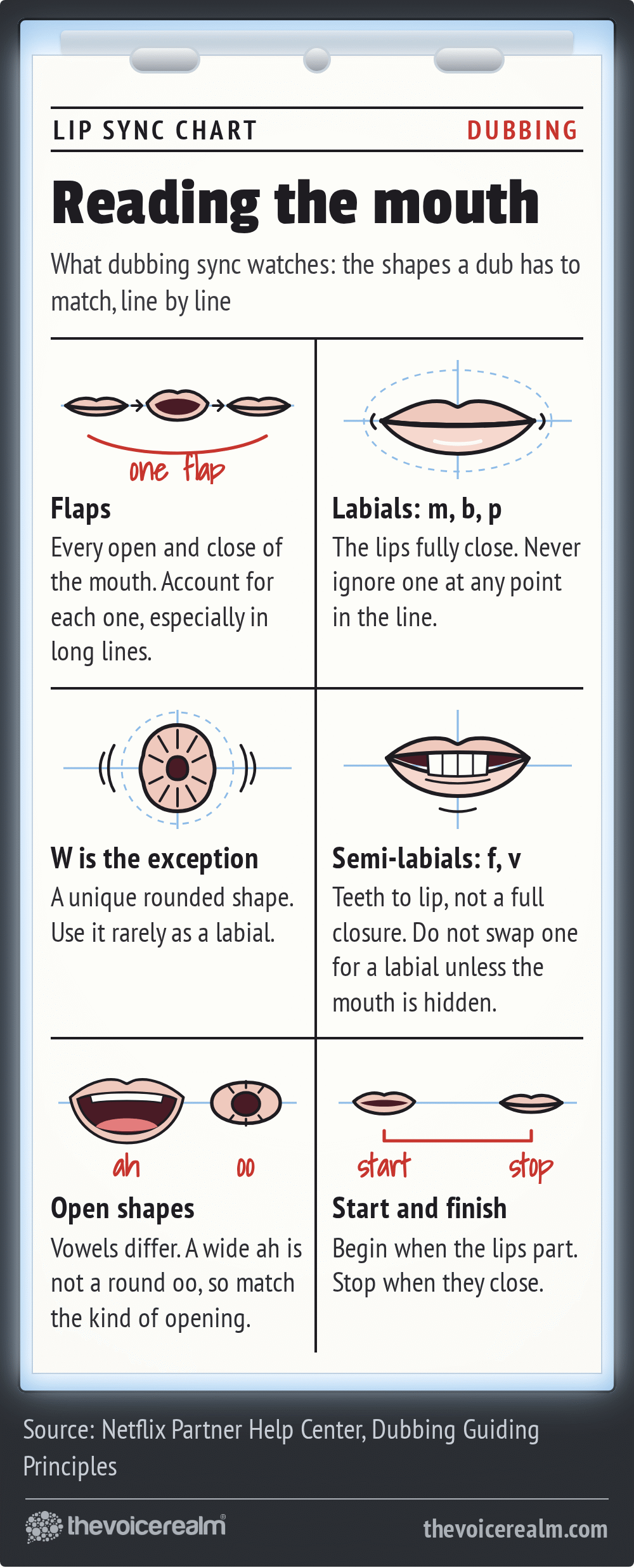 An animator's lip sync mouth chart on punched paper held by a peg bar on a glowing light box, six drawn cartoon mouths with notes: flaps, every open and close of the mouth, account for each one, especially in long lines; labials m, b, p, the lips fully close, never ignore one at any point in the line; w is the exception, a unique rounded shape, use it rarely as a labial; semi-labials f and v, teeth to lip, not a full closure, do not swap one for a labial unless the mouth is hidden; open shapes, a wide ah is not a round oo, so match the kind of opening; start and finish, begin when the lips part, stop when they close © The Voice Realm