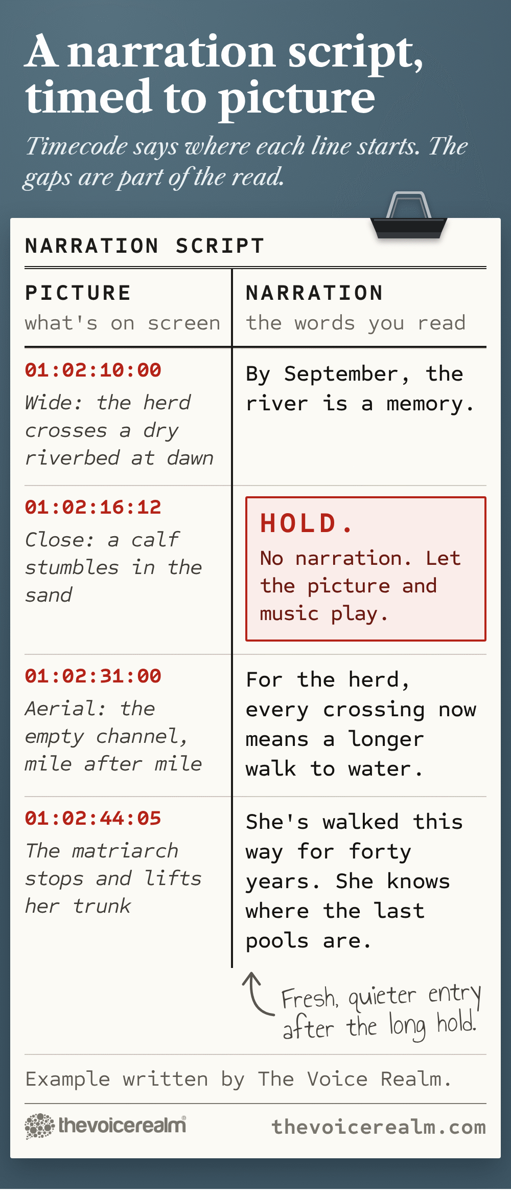 Example two-column documentary script timed to picture, picture and timecode on the left, narration on the right: at 01:02:10:00, wide shot of the herd crossing a dry riverbed at dawn, By September, the river is a memory. At 01:02:16:12, close on a calf stumbling in the sand, a HOLD with no narration to let the picture and music play. At 01:02:31:00, aerial of the empty channel, mile after mile, For the herd, every crossing now means a longer walk to water. At 01:02:44:05, the matriarch stops and lifts her trunk, She's walked this way for forty years. She knows where the last pools are, with a pencil note for a fresh, quieter entry after the long hold © The Voice Realm