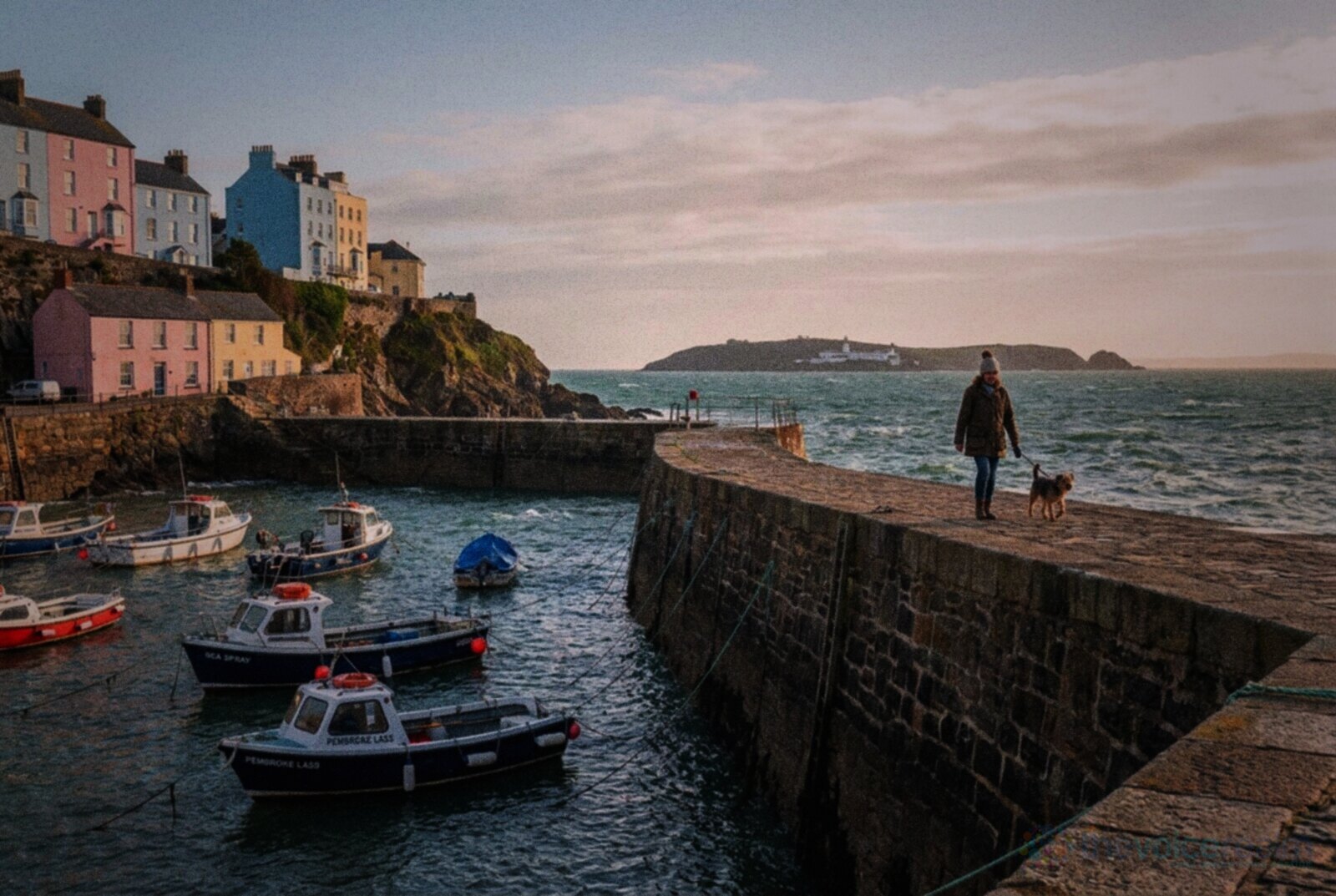 Tenby harbour in Pembrokeshire on a bright autumn morning, small boats moored below colourful clifftop houses, a woman walking a dog along the harbour wall and Caldey Island on the horizon © The Voice Realm