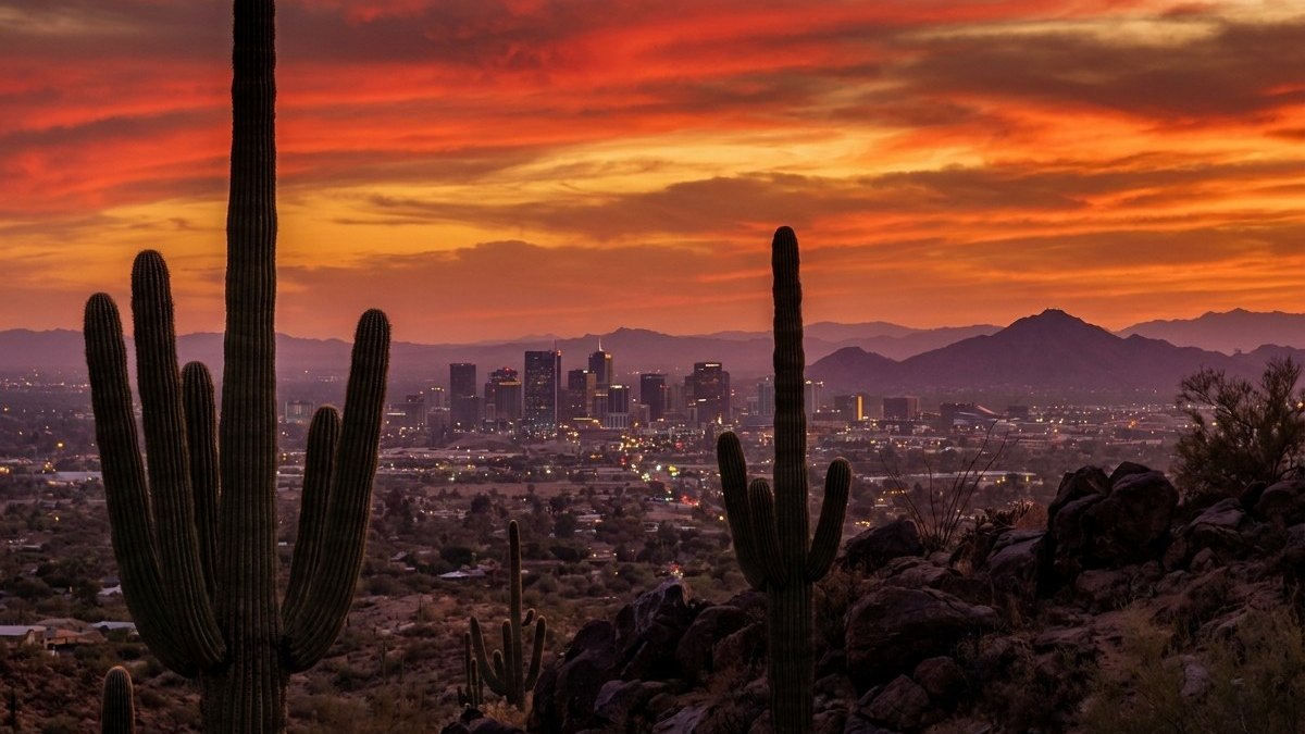 A saguaro cactus against a red and gold desert sunset above the words Phoenix voice over talent