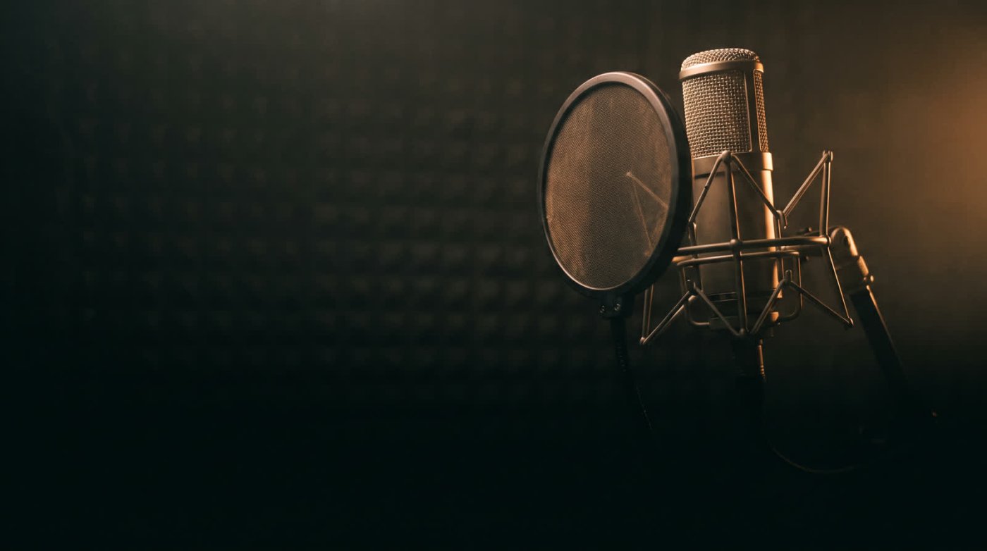 A large diaphragm studio microphone against dark acoustic foam